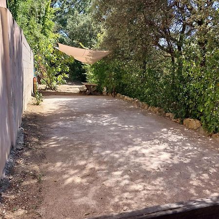 Guest House Casa Cassien Montauroux Ngoại thất bức ảnh